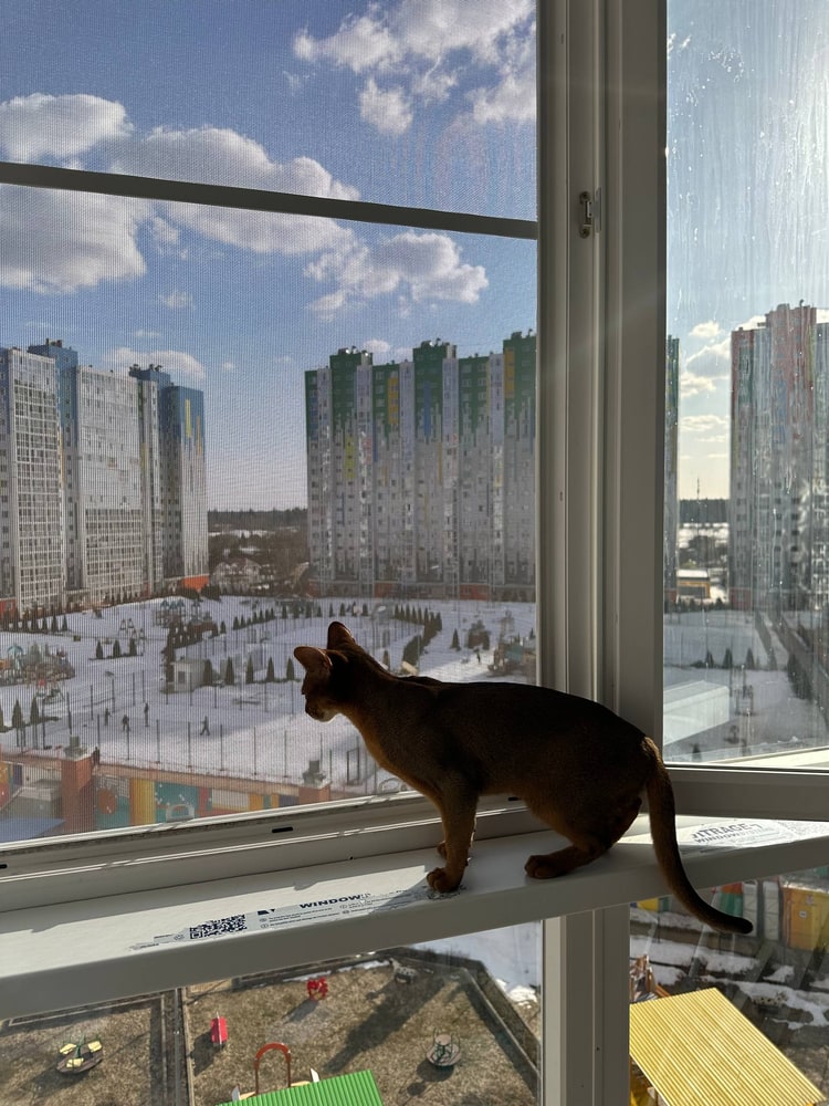 Москитные сетки «Антикошка» в Самаре